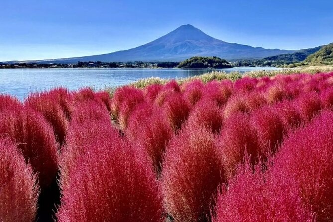 Mt. Fuji Panoramic Ropeway, 5th Station, And Oshino Hakkai Tour - When this tour is the right fit (and when it isn’t)