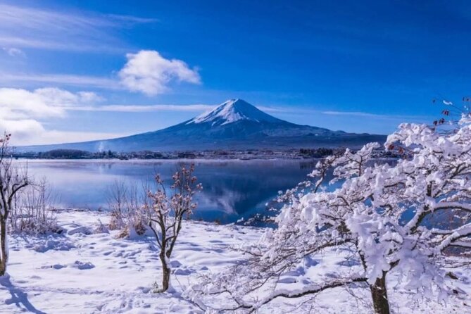 Mt. Fuji Panoramic Ropeway, 5th Station, And Oshino Hakkai Tour - Should you book this Mt. Fuji day trip?