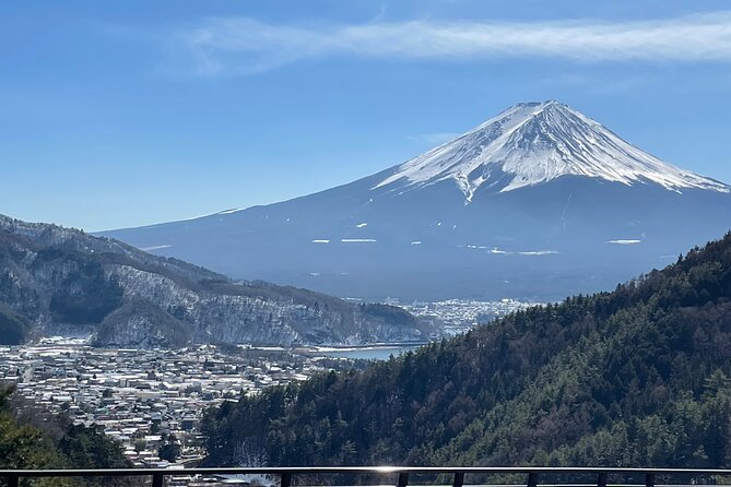 Mt FUJI - Panoramic Tour w/ Hoto Lunch, JP Sake & Onsen tatto OK! - Key things to know before you go