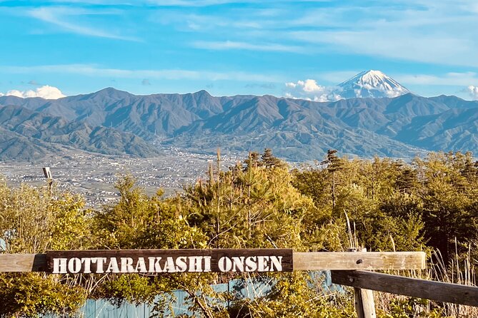 Mt FUJI - Panoramic Tour w/ Hoto Lunch, JP Sake & Onsen tatto OK! - Kanadorii torii gates and Oishi Park with Kawaguchiko Lake