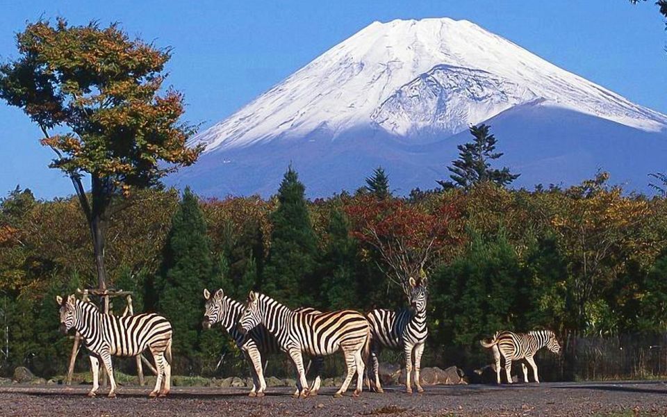Mt Fuji : Private 10-Hour Luxury Tour by Exclusive Car - Key highlights at a glance
