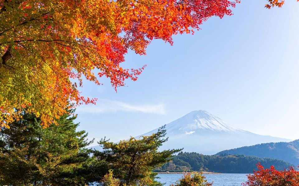 Mt Fuji : Private 10-Hour Luxury Tour by Exclusive Car - Building your Fuji views around the Five Lakes