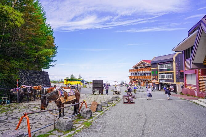 Mt. Fuji Private Chartered Tour with Nature and Wasabi Farm - Private charter and weather-smart planning