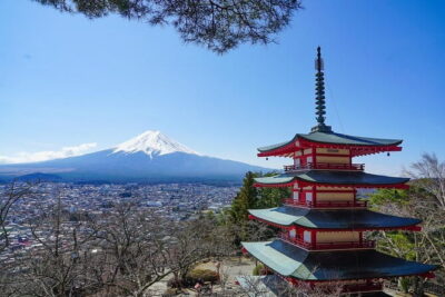 Mt. Fuji Private Chartered Tour with Nature and Wasabi Farm - Shinjuku start: getting moving at 8:00 am