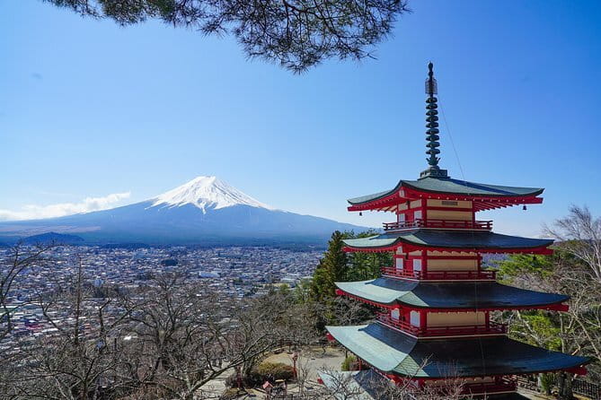 Mt. Fuji Private Chartered Tour with Nature and Wasabi Farm - Shinjuku start: getting moving at 8:00 am