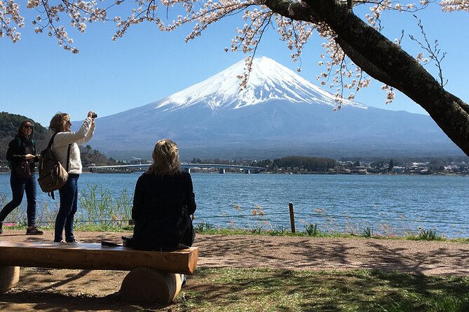 Mt Fuji Private Day Tour from Tokyo with English Speaking Driver - Key Points That Make This Tour Worth Your Time