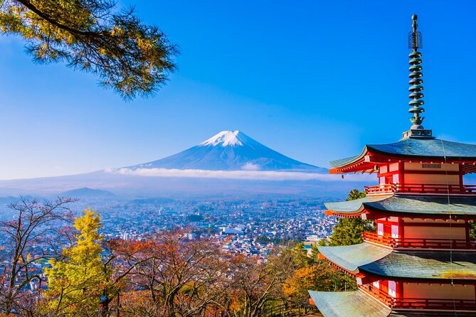 Mt Fuji Private Day Trip from Tokyo with English Speaking Driver - Key points to know before you go
