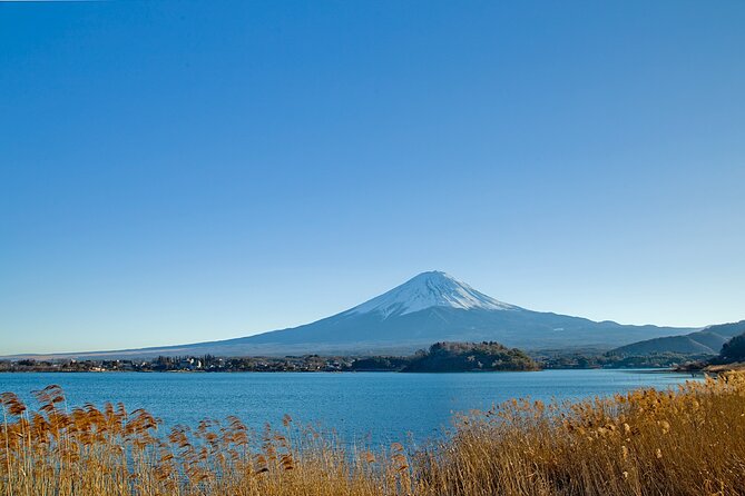 Mt Fuji Private Day Trip from Tokyo with English Speaking Driver - The 8:00 am start and how the 10-hour day is paced