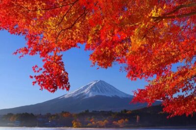 Mt Fuji Private Day Trip from Tokyo with English Speaking Driver - Oshino Hakkai: the eight-pond stop where the pace feels calmer