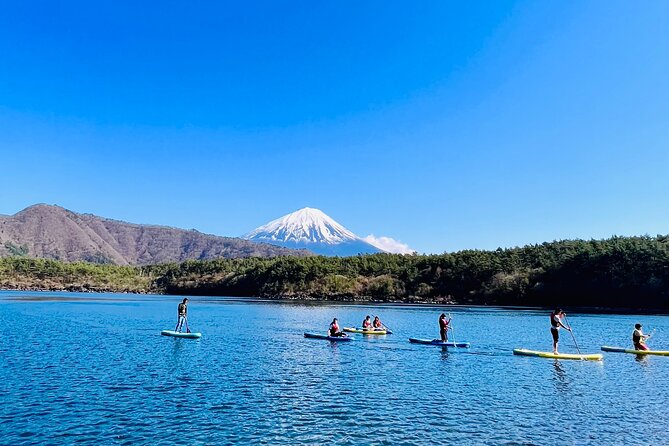 Mt Fuji Private Day Trip from Tokyo with English Speaking Driver - Lake Kawaguchiko and Oishi Park: where Fuji reflections become the goal