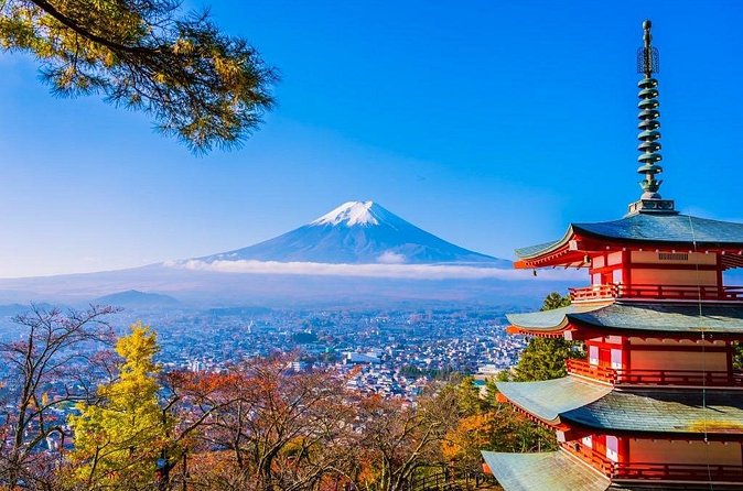 Mt Fuji Private Day Trip from Tokyo with English Speaking Driver - Saiko Lake and Iyashi no Sato Nenba: the slower side of the Fuji Five Lakes