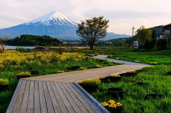 Mt.Fuji Private SightSeeing Day Tour (From Tokyo) - Lake Kawaguchiko and Oishi Park: where you try for the classic Fuji angles