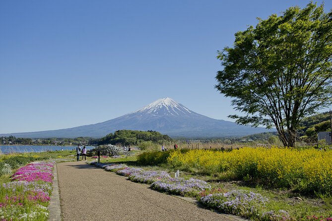 Mt.Fuji Private SightSeeing Day Tour (From Tokyo) - Oshino Hakkai ponds: clear spring water and the 80-year filtration story