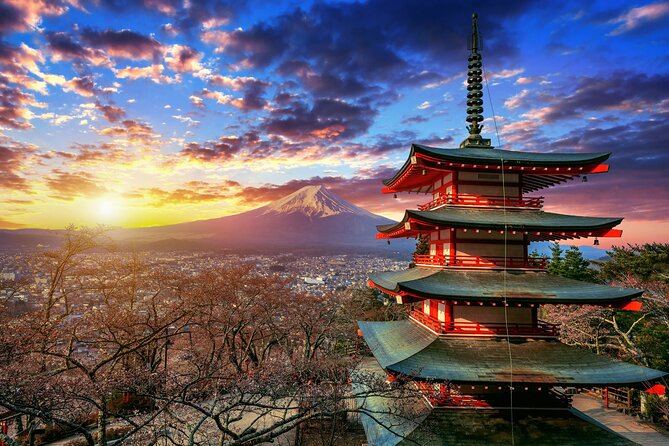 MT. FUJI/ Private Tour delivered and guided by a top-tier driver - Price and Value: Paying for Comfort, Timing, and Control