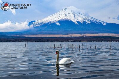MT. FUJI/ Private Tour delivered and guided by a top-tier driver - Stop-by-Stop: What You’ll Do Around Mt. Fuji