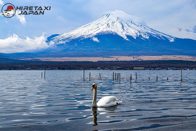 MT. FUJI/ Private Tour delivered and guided by a top-tier driver - Stop-by-Stop: What You’ll Do Around Mt. Fuji