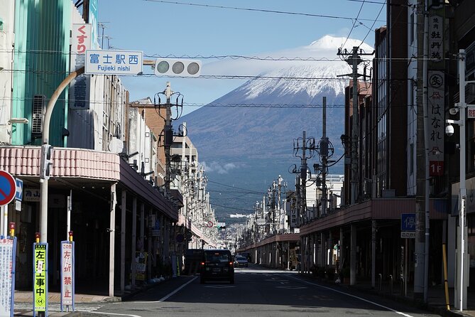 Mt Fuji Private Tour with Native Japanese Driver - The Fuji-and-Hakone idea: why private beats public