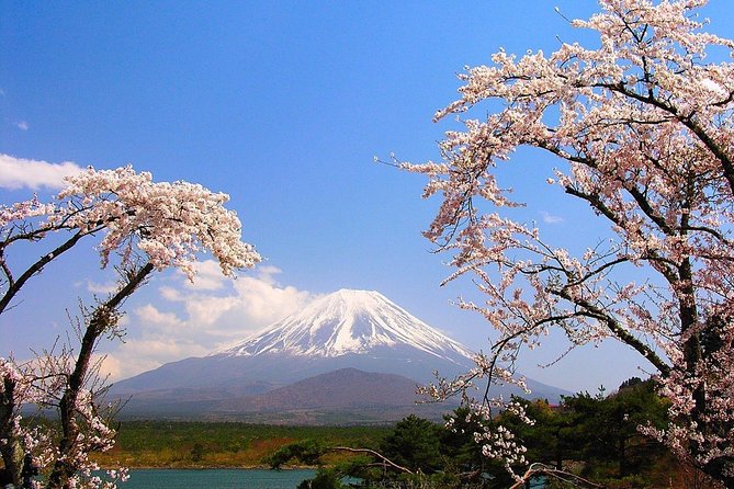 Mt Fuji Private Tour with Native Japanese Driver - Arakurayama Sengen Park: the viewpoint you’ll recognize