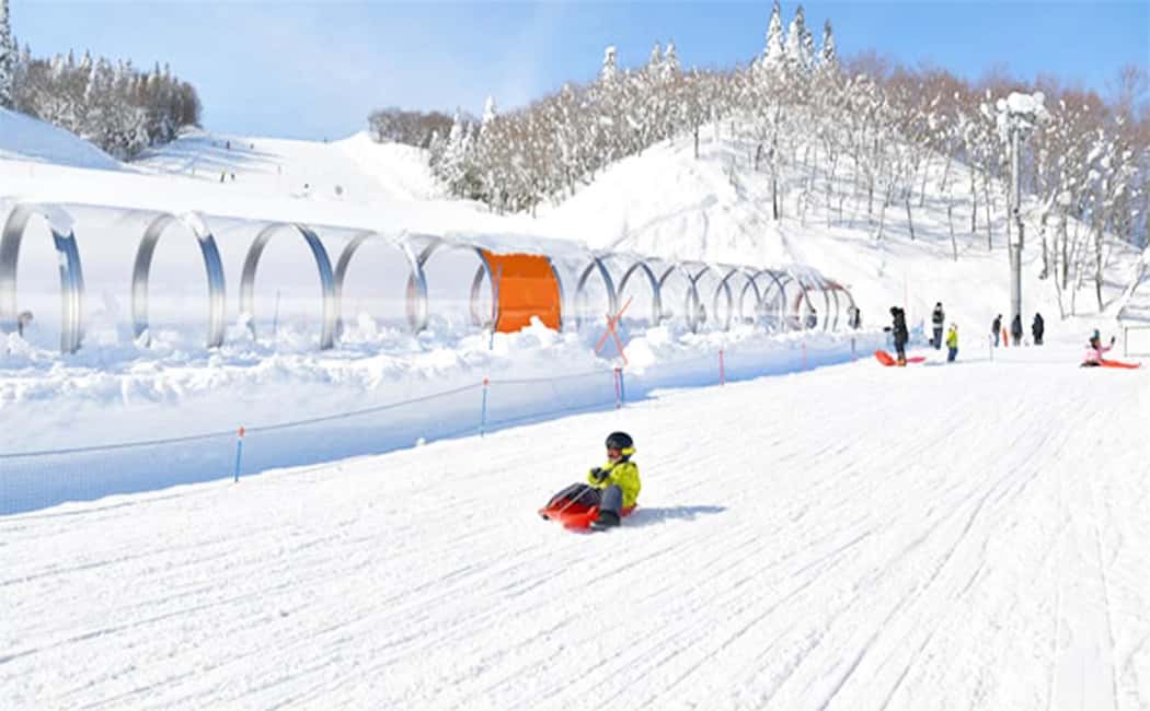 Mt. Fuji Skiing Experience- YETI Ski Resort & Onsen Day Trip - Price and value: what $90 buys in real terms