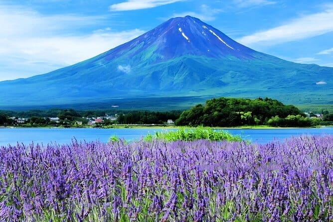 Mt Fuji Small Group 1 Day Tour Kawaguchi and Yamanaka with Pickup - Key highlights at a glance