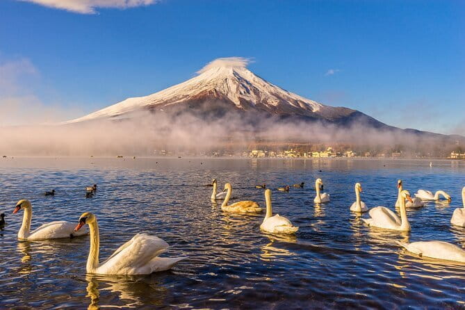 Mt Fuji Small Group 1 Day Tour Kawaguchi and Yamanaka with Pickup - Price and logistics: what $15 buys you from Tokyo