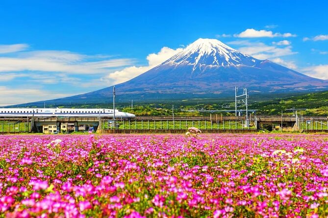 Mt. Fuji to Lake Kawaguchi, Lake Yamanaka and Onsen Day Tour - How This Day Tour Cuts Tokyo-to-Fuji Headaches