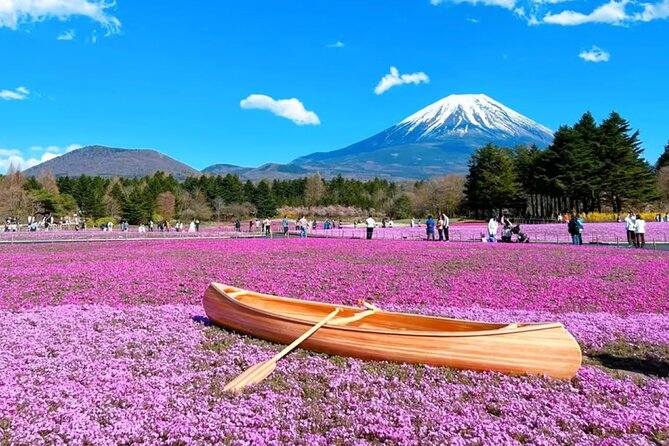 Mt. Fuji to Lake Kawaguchi, Lake Yamanaka and Onsen Day Tour - Oishi Park and the Seasonal Stops: How Your Month Changes the Scenery