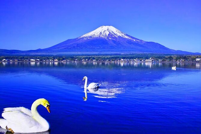 Mt. Fuji to Lake Kawaguchi, Lake Yamanaka and Onsen Day Tour - Lake Yamanaka: Bigger, Calmer, and Worth the Second Lake