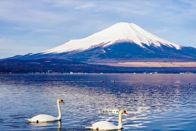 Mt. Fuji to Lake Kawaguchi, Lake Yamanaka and Onsen Day Tour - What You’re Really Paying for (It’s Not Just “Transportation”)