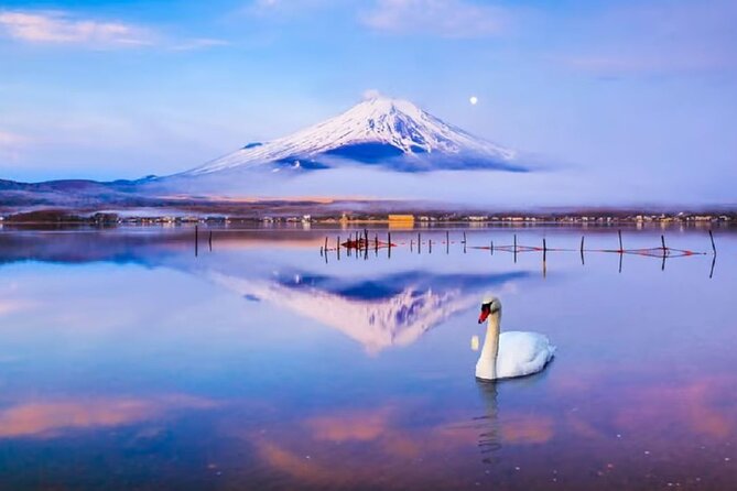 Mt. Fuji to Lake Kawaguchi, Lake Yamanaka and Onsen Day Tour - Arakurayama Sengen Park and Shrine: The Photo Angle That’s Done Right