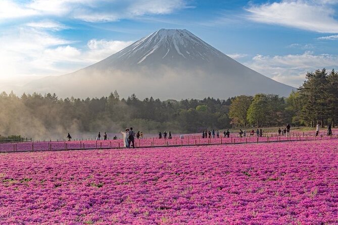 Mt Fuji Tour with Japanese Local Guide on Private Car from Tokyo - Chureito Pagoda at Arakura Sengen Shrine: The Fuji Photo You’ll Understand