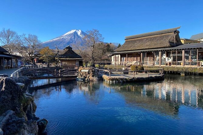 Mt Fuji Tour with Japanese Local Guide on Private Car from Tokyo - Who This Private Mount Fuji Tour Is Best For