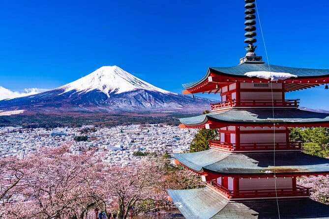 Mt. Fuji Tours to Lake Kawaguchi and Yamanaka Onsen English Guide - The final Mt. Fuji stop: one hour for the classic photo moment