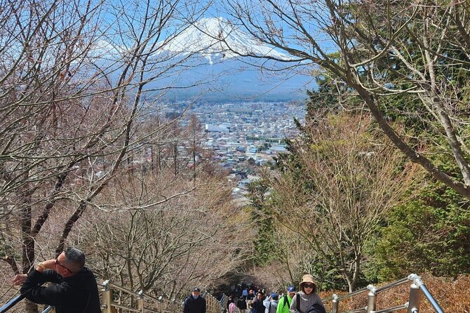 Mt.Fuji view Hakone Private tour with English speaking driver - Stop 5: Hakone-jinja area at Kuzuryū Jinja Shingū