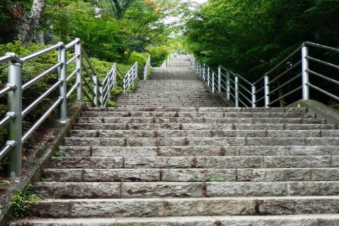 MT FUJI with Private Tour - Why this private Mt. Fuji tour works better than DIY