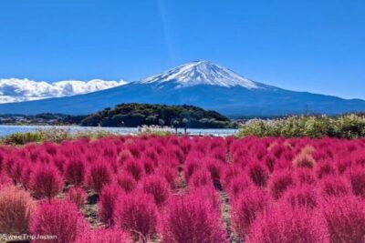 MT FUJI with Private Tour - Fuji 5th Station: where the views start strong