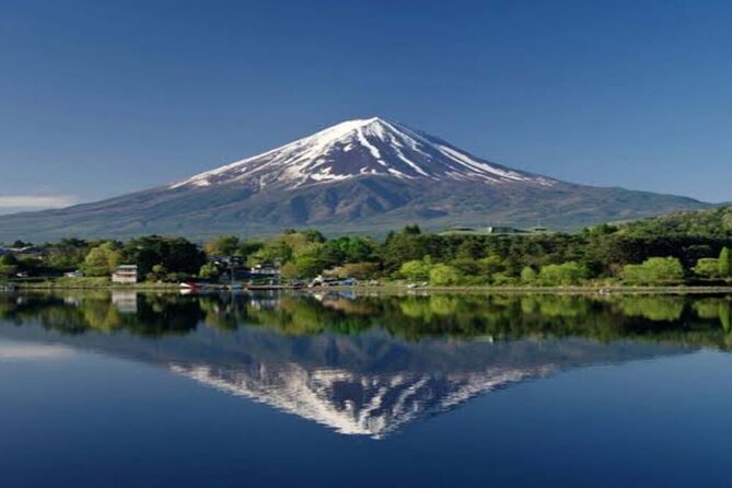 MT FUJI with Private Tour - Yamanakako Hananomiyako Park: seasonal flowers near the lake