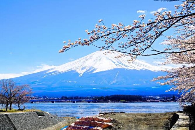 MT FUJI with Private Tour - Narusawa Ice Cave: geology you can feel