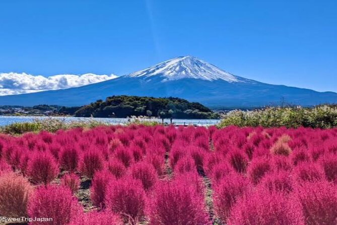 MT FUJI with Private Tour - Fuji 5th Station: where the views start strong