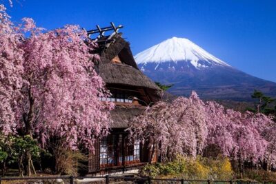 Muslim Friendly Mt. Fuji Tour with Halal Lunch and Prayer Time - Riding in comfort: what the bus experience is really like