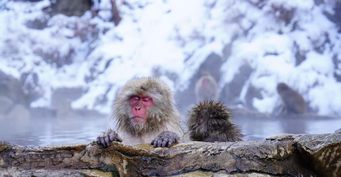 Nagano: Snow Monkeys, Zenkoji Temple & Sake Day Trip - Obuse and Yamanouchi: Old Streets, Chestnuts, and Mountain Air