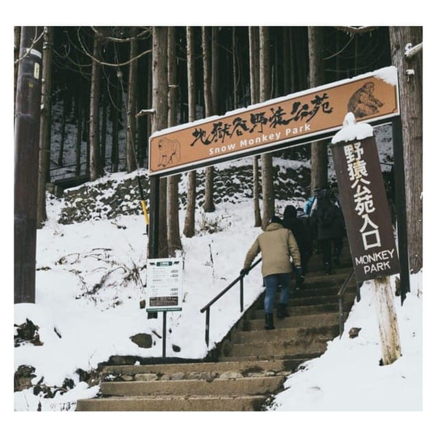Nagano/Tokyo: Snow Monkey Private Day Tour At Lowest Rate - Jigokudani Snow Monkey Park: the hot-spring walk that sets the tone