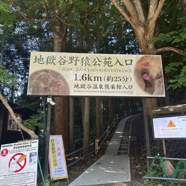 Nagano/Tokyo: Snow Monkey Private Day Tour At Lowest Rate - Shibu Onsen photo stop: quick hot-spring town atmosphere