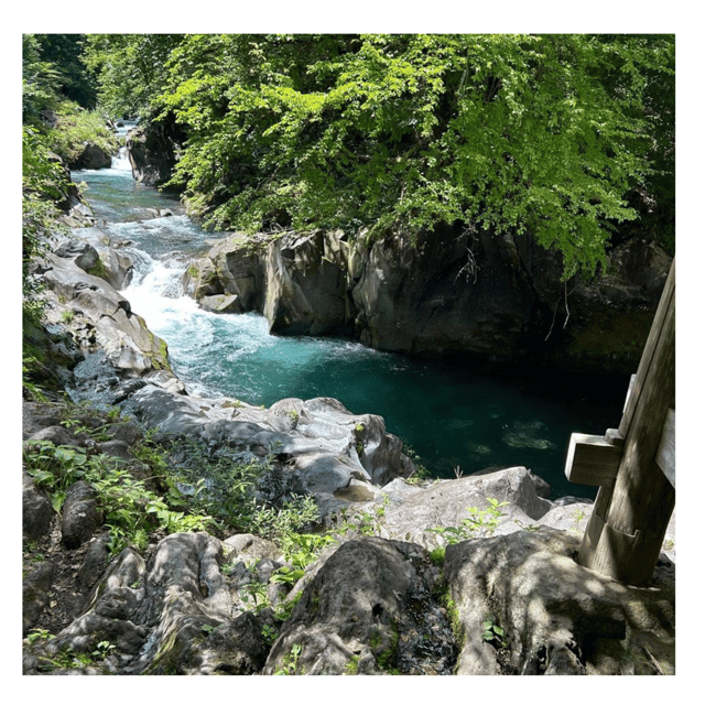 Nagano/Tokyo: Snow Monkey Private Day Tour At Lowest Rate - Zenko-ji Temple: spiritual history plus that famous pitch-dark passage