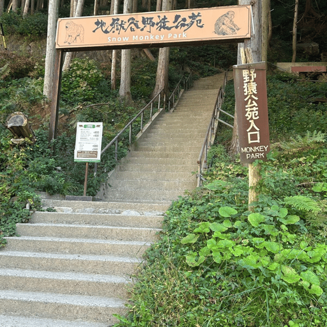 Nagano/Tokyo: Snow Monkey Private Day Tour At Lowest Rate - Getting there from Tokyo or Nagano: the 10 hours that really matter