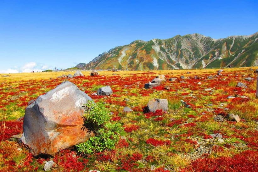 Nagano: World’s Edge Tateyama Kurobe Alpine Route Tour - How the ascent works: buses, ropeways, and trolley-bus segments that change your timing