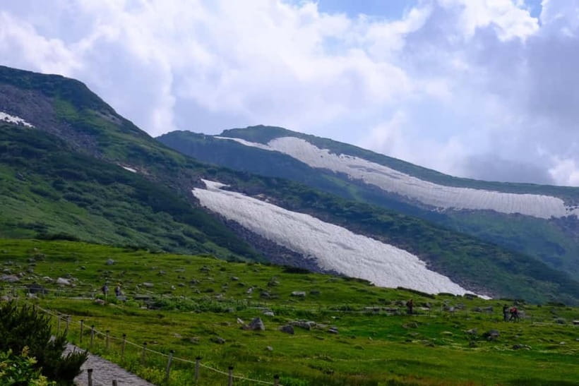 Nagano: World’s Edge Tateyama Kurobe Alpine Route Tour - Murodo Plateau at 2,450m: snow walls in spring, breezes in summer, and room to choose your walking pace