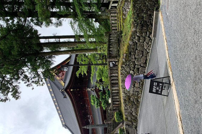 Nikko one day trip GREEN NUMBER PLATES - Kegon Falls: what to expect and what not to forget