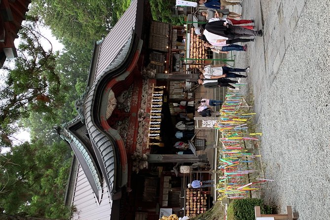 Nikko one day trip GREEN NUMBER PLATES - Price and logistics: when $520 per group feels fair