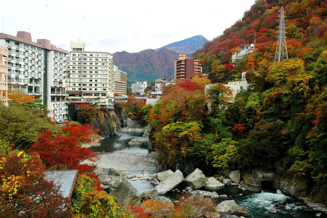 NIKKO PASS world heritage area - Key things I’d zoom in on